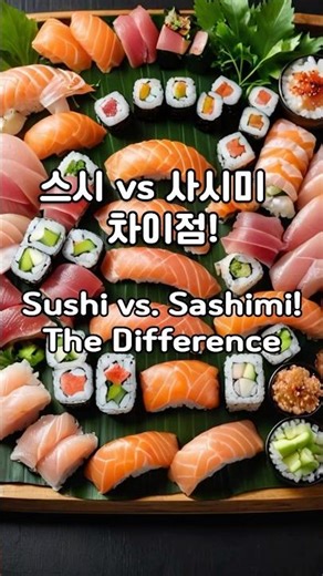 스시 vs 사시미 차이점 Sushi vs Sashimi Difference #스시