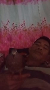 Shout out raw guys #highlights #followers #everyone | Abel mix vlog