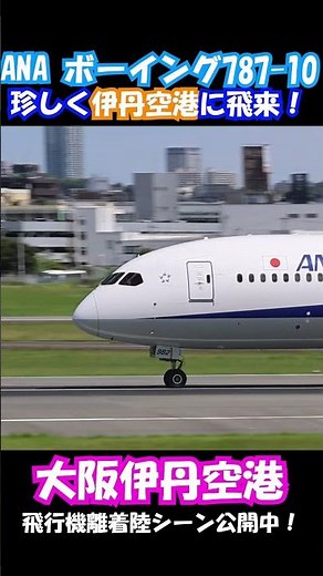 【珍しい伊丹運用】ANA B787-10の美しい着陸！伊丹では滅多に見られない機体 #伊丹空港 #aviation #b787 #ana #飛行機