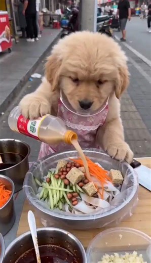 Unleash Your Creativity with the Ever-Changing AI