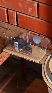 Comment fabriquer un piège à rat simple à l'aide d'un seau | Brico Monsieur