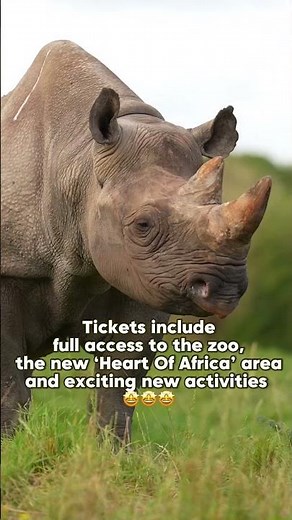 GET BEST PRICE TICKETS TO CHESTER ZOO'S NEW HABITAT!