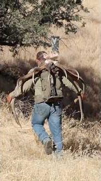 ELK HUNTING TEJON RANCH #elk #hunting