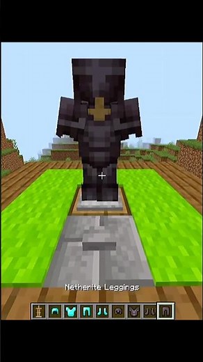 The Ultimate Minecraft Armor Disguise!