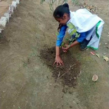 Plant a tree - green the earth, green project with love started in govt girls schools