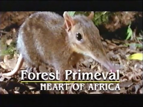 National Geographic: World's Last Great Places: Hidden Congo - The Forest Primeval (1996)