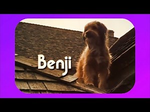 Remembering a Classic: Benji (1974) - Review