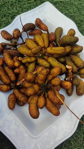 Assalamualaikum good morning jama'a ya kuke kiran wannan a yarenku ko a inda kuke Mudai lukuki muke kiransa mu hadu a comment section .. #chefsafmar #explore #explorepage #gargajiyafoods #cheflifestyle #kaduna