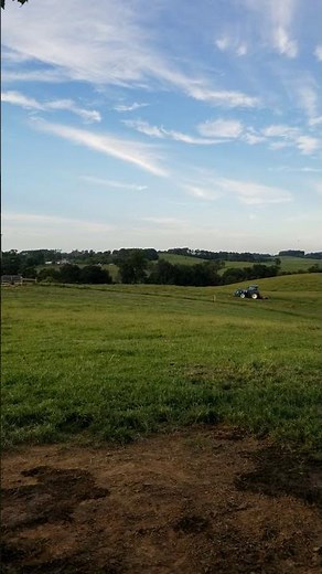 Mowing hay New Holland workmaster 75