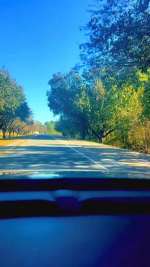 Don’t be hanging up on me again 😂👋 #gas #roydmercer #roymercer #prankcalls #busload #thumbride #15kfollowers #followerseveryonehighlights #humor #comedy #fynnyvideo #funnyreels #funnymoments #fblifestyle #doxiemoments #carrideswithdogs #doxie #weeniedogs #wienerdog #jokes #prankcalls #followersreels #reelsfacebook | Ramsey the Wiener