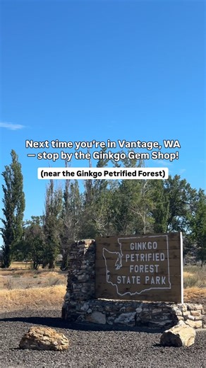 Hidden along the cliffs of the Columbia River in Vantage, WA, the Ginkgo Gem Shop is a rockhound’s paradise! (@ginkgogemshop1 ) From dazzling crystals and petrified wood to local fossils and handmade jewelry, this quirky roadside stop has been sparking curiosity for generations. A must-visit if you’re passing through central Washington! #centralwashington #vantagewashington | Central Washington Outdoor
