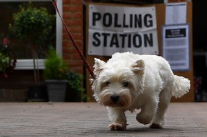 Tactical voting guide: how the Brexit and Remain vote splits the UK – and what it means for the general election