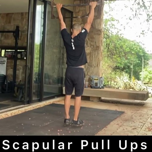 Scapular Pull Ups