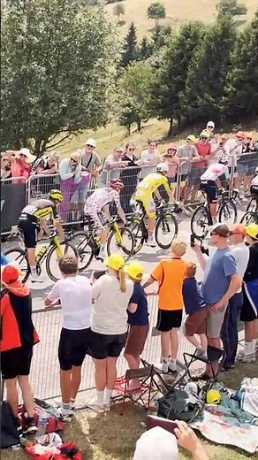 Tour de France Etappe 14 - Le Markstein #kraftwerk #tourdefrance