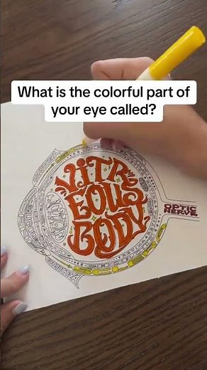 👁️ Want to make learning about the human eye fun and hands-on?