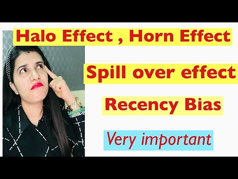 Common Biases in Performance Appraisal ( Halo Effect, Horn Effect, Projection Error )