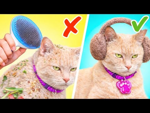 I Tried INSANE DIY Projects for My Cat 😳🐾 The Results Were Unreal!