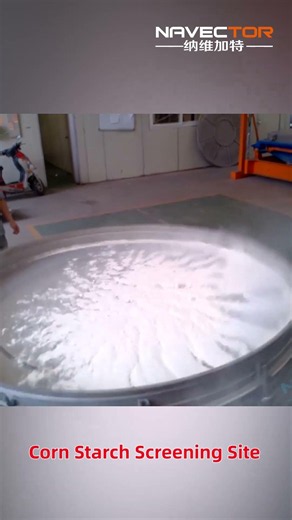 On-site starch sieving test; capable of sieving micron-scale powders. #vibroseparator