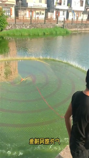 cast net fishing techniques #fishing #net #handfish