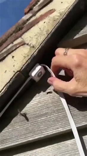 ✨ Level up your home’s look with Smartlight™ Outdoor LEDs! 🌈 From cozy vibes to party nights — 100 styles at your fingertips! 💡 https://www.bytoistore.com/products/smartlight | SmartGlow LED - Festive Lighting Sale