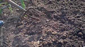 Work in a garden - Digging Spring Soil With Spading fork. Close up of digging spring soil with shovel preparing it for new sowing season.
