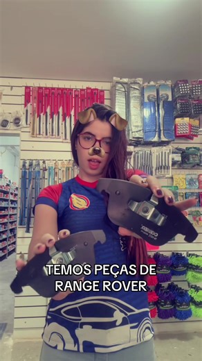Peças de Automóvel para Range Rover 2016