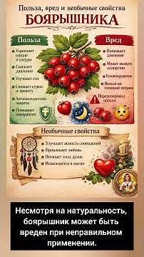 Боярышник: польза и вред 🌿 Как влияет на сердце и давление?