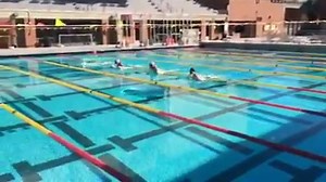 340K views · 7.2K reactions | Video Educativo de 50 metro Peito...