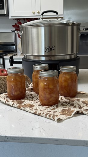 Ball Canning on Instagram: "This is your shortcut to holiday magic. 🍎✨ With just a few simple steps, you’ll have jars of homemade apple pie filling—ready for cozy crumbles, festive pies, or last-minute desserts. Sweet, spiced, and sealed to enjoy all season long. Find this recipe and more at Ballmasonjars.com. Link in bio!"