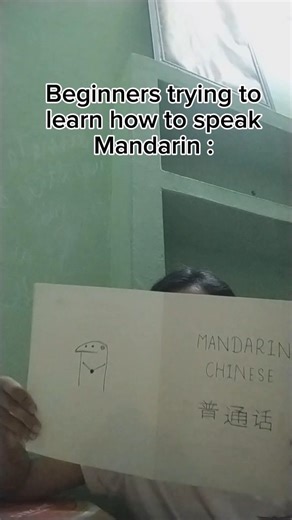 Chinese is hard 😔 #funny #memes #helpmemakethismakesense #chinese