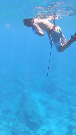 Hawaii Kids Spearfishing for Octopus! #spearfishing #fishing | Ryan Myers