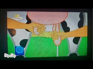 BabyTV 1, 2, 3, Tell A Story: Cow 🐄 (Full Episode)