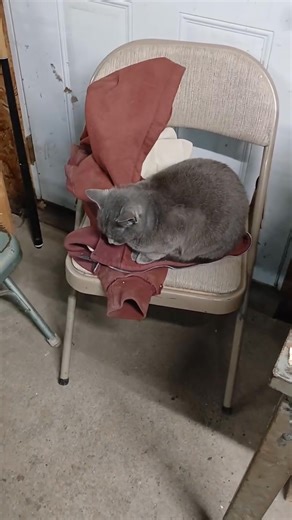 My little friend Church | Justin Raszler