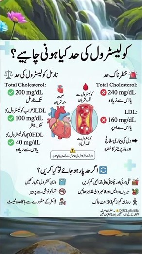 "Cholesterol Levels: What’s Normal, What’s Risky, and How to Control It"