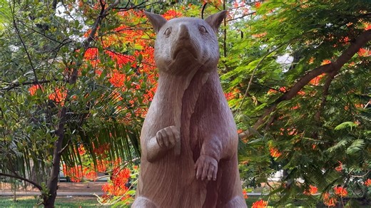 Statue honours life-saving rat who sniffed out landmines in Cambodia