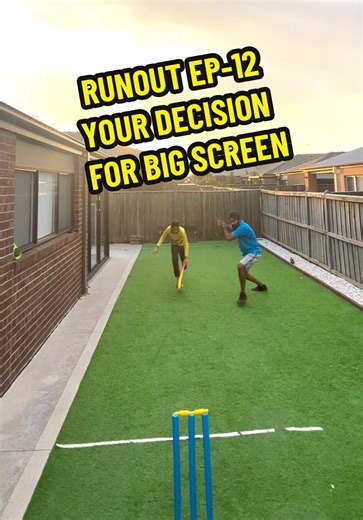 Follow and be the Umpire: Cricket Decision Challenge