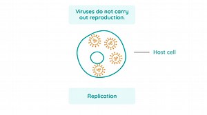 Viral Replication | LC Biology | Studyclix Boost