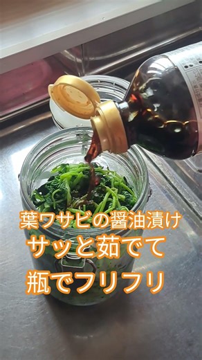 葉ワサビの醤油漬け#ワサビ#茹でる#瓶でフリフリして辛味を出す#醤油