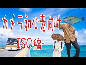 魚でも分かるカメラ初心者講座マニュアルモードを使おう！~ISO編~