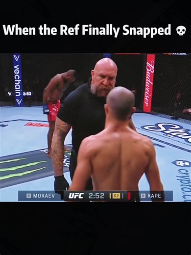 When the Ref Finally Snapped 💀#boxing #fyp #ufe #mma #referee | ufc ref vs fighters