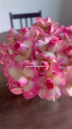 How to open up roses #shorts #shortvideo