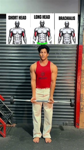 3 Barbell Curl Variations for Bigger Biceps