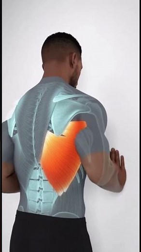 Wall Slide for Shoulder Stability | Scapular Upward Rotation Exercise Tutorial