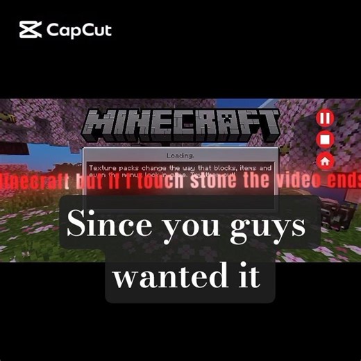 “If I Touch Stone… The Video Ends 😱”