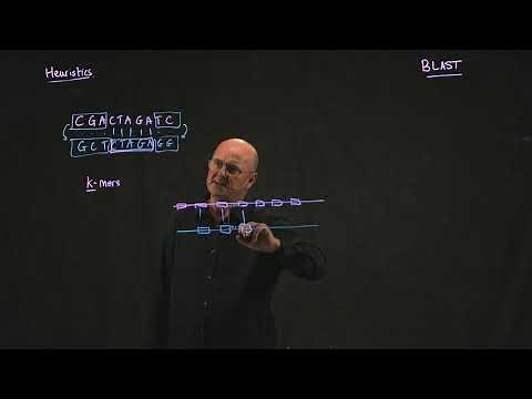 BLAST 2 seed and extend