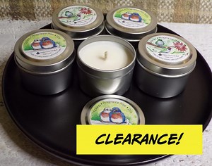 Fragrance Free- 2 Oz Soy Candle - Etsy Canada