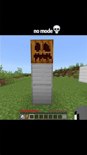 Minecraft Secret Trick That Actually Works! 😱 (No Mods Needed)