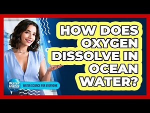 How Does Oxygen Dissolve in Ocean Water?