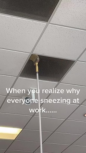 Understanding Allergies: Tips for Managing Dust Allergens