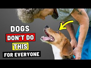 If You're Over 50, Your Dog Will Start Doing THIS